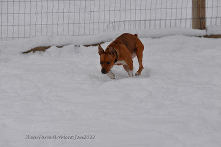 Enlarge photo 322
