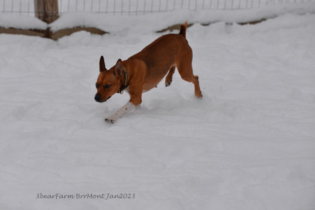 Enlarge photo 319