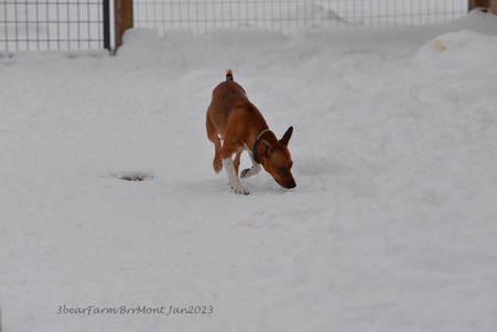 Enlarge photo 316