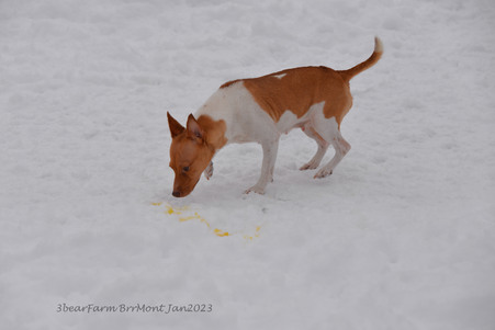 Enlarge photo 314