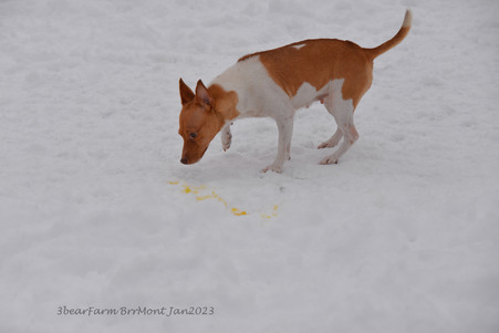 Enlarge photo 313