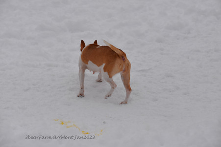 Enlarge photo 311