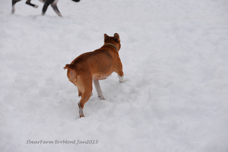 Enlarge photo 307