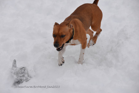 Enlarge photo 304