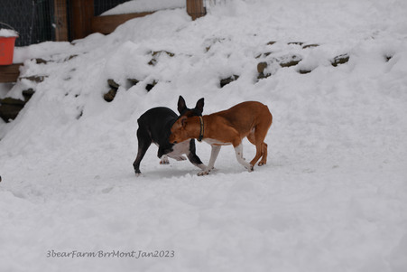 Enlarge photo 300
