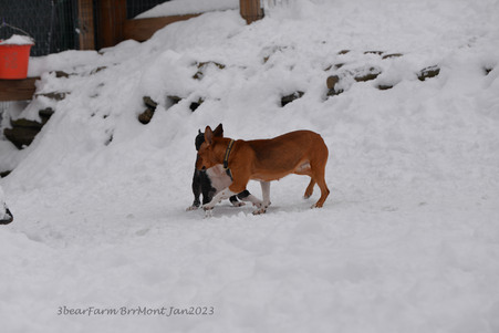 Enlarge photo 299