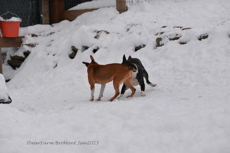 Enlarge photo 298