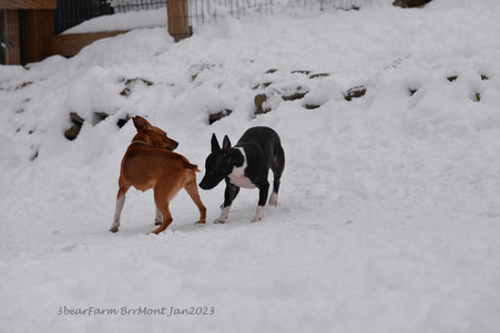 Enlarge photo 297