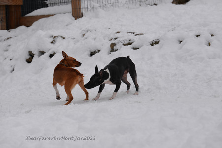 Enlarge photo 296