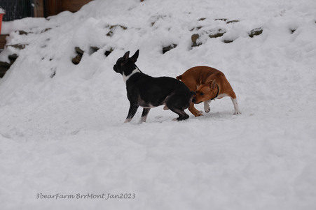 Enlarge photo 295