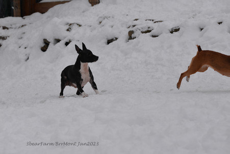 Enlarge photo 293