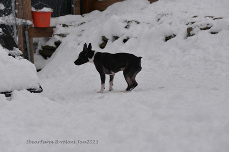 Enlarge photo 292