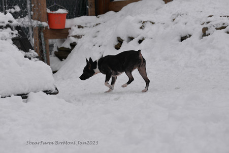 Enlarge photo 291