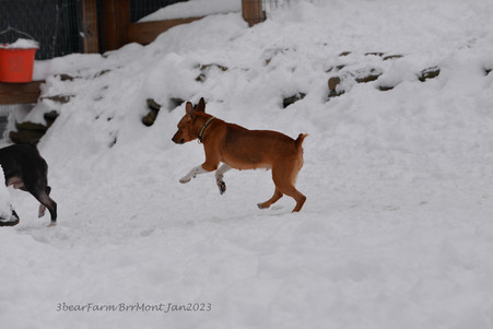 Enlarge photo 289