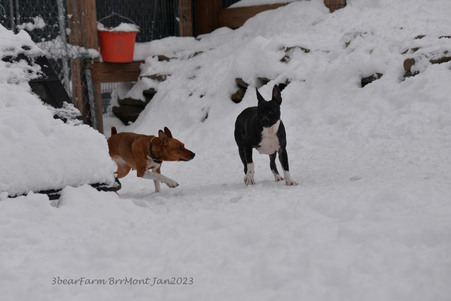Enlarge photo 288