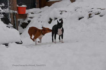 Enlarge photo 287
