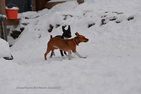 Enlarge photo 286