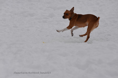 Enlarge photo 285