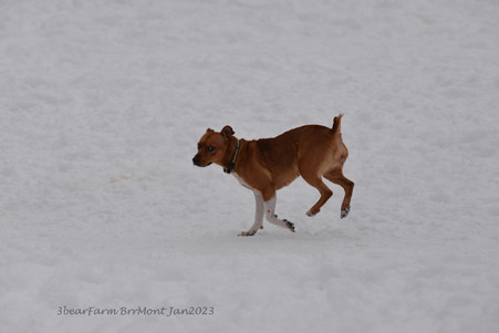 Enlarge photo 284