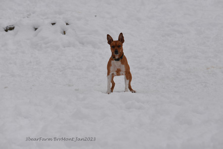 Enlarge photo 283