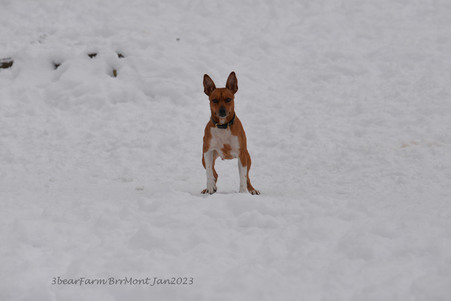 Enlarge photo 282