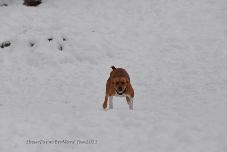 Enlarge photo 281