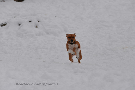 Enlarge photo 280