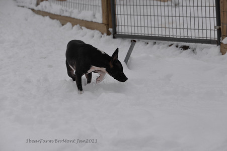 Enlarge photo 279