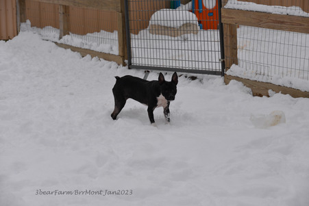 Enlarge photo 276