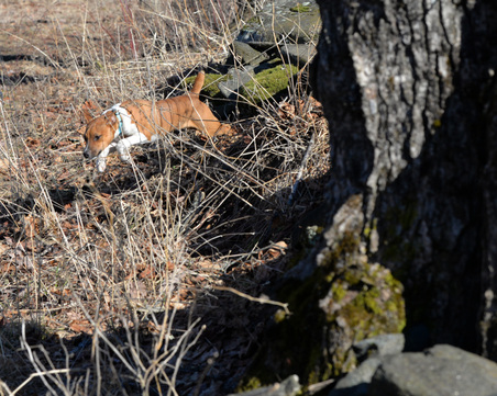 Enlarge photo 229