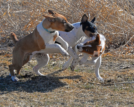 Enlarge photo 232