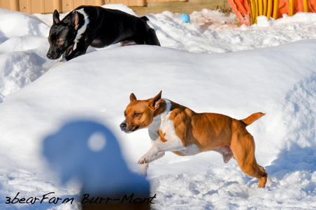 Enlarge photo 88