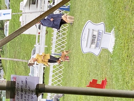 Enlarge photo 17