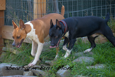 Enlarge photo 35