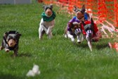 Enlarge photo 39