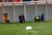 Enlarge photo 31