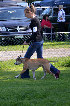 Enlarge photo 253