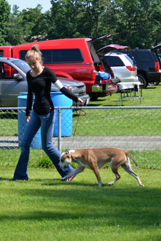 Enlarge photo 251