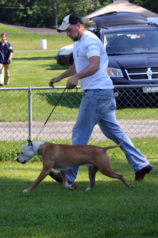 Enlarge photo 249