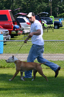 Enlarge photo 247