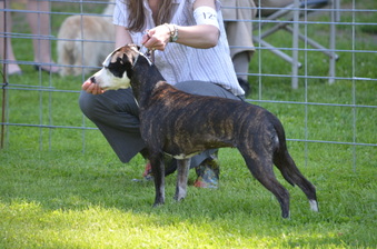 Enlarge photo 233