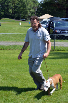 Enlarge photo 211