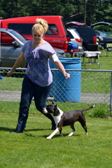 Enlarge photo 179