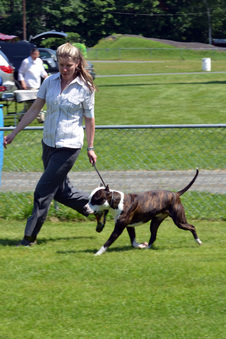 Enlarge photo 169