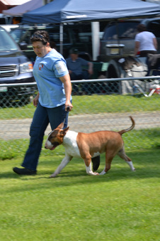 Enlarge photo 154