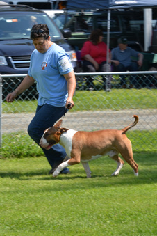 Enlarge photo 153