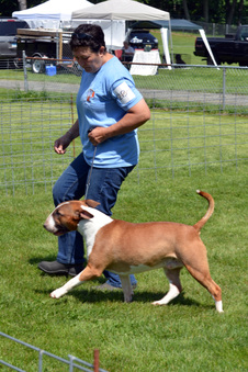 Enlarge photo 142