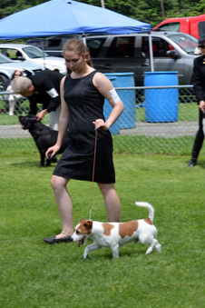 Enlarge photo 117