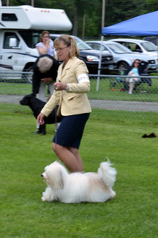 Enlarge photo 111