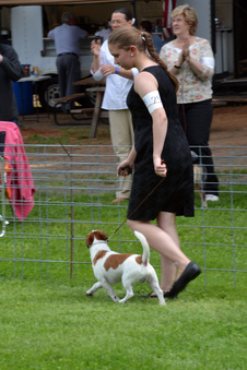 Enlarge photo 107